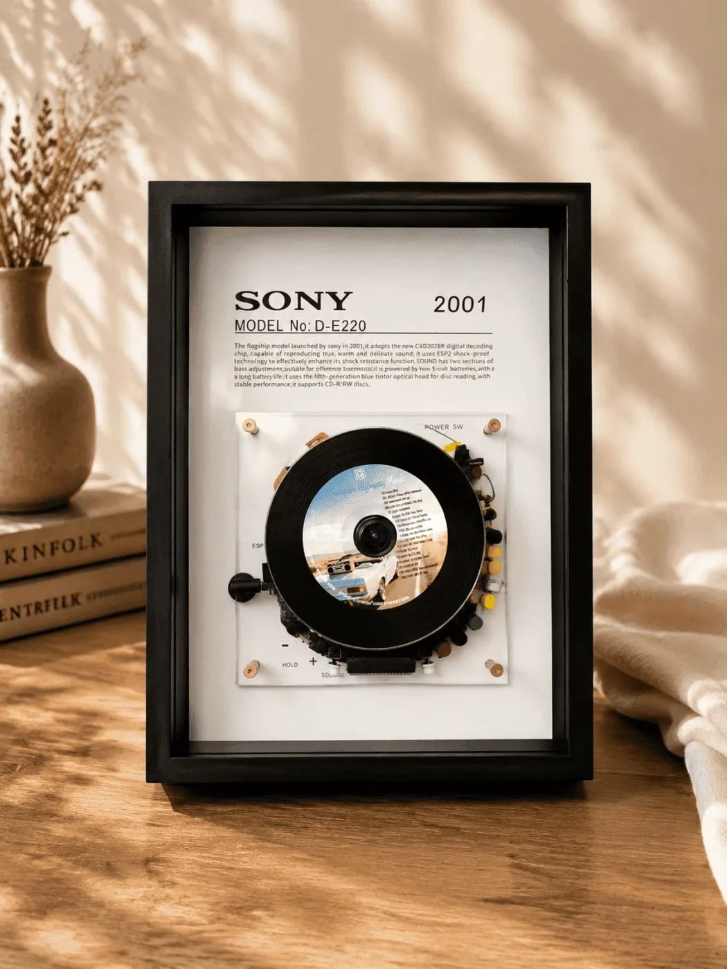 Vintage CD Player Display Frame · D-E220